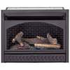 Procom 29In. Ventless Gas Dual Fuel Fireplace Insert - 26,000 Btu, T-Stat C FBNSD28T